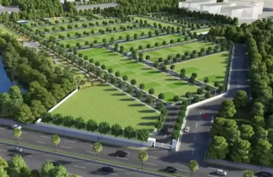 PYRAMID PALM COUNTY PLOTS